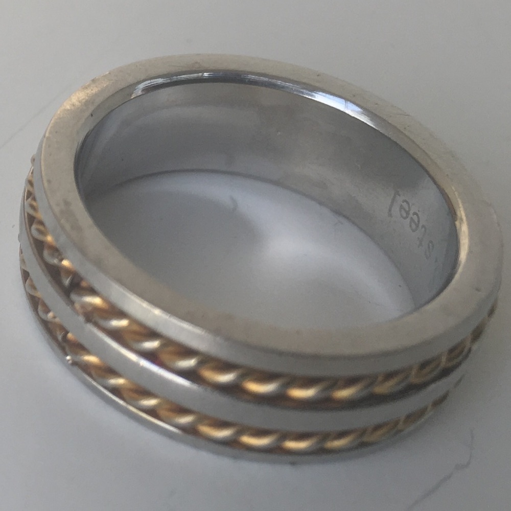 Men’s Stainless steel with gold twist band